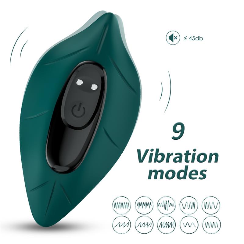 Vibrador de Braguita
