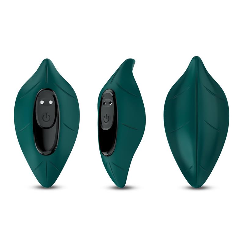 Vibrador de Braguita